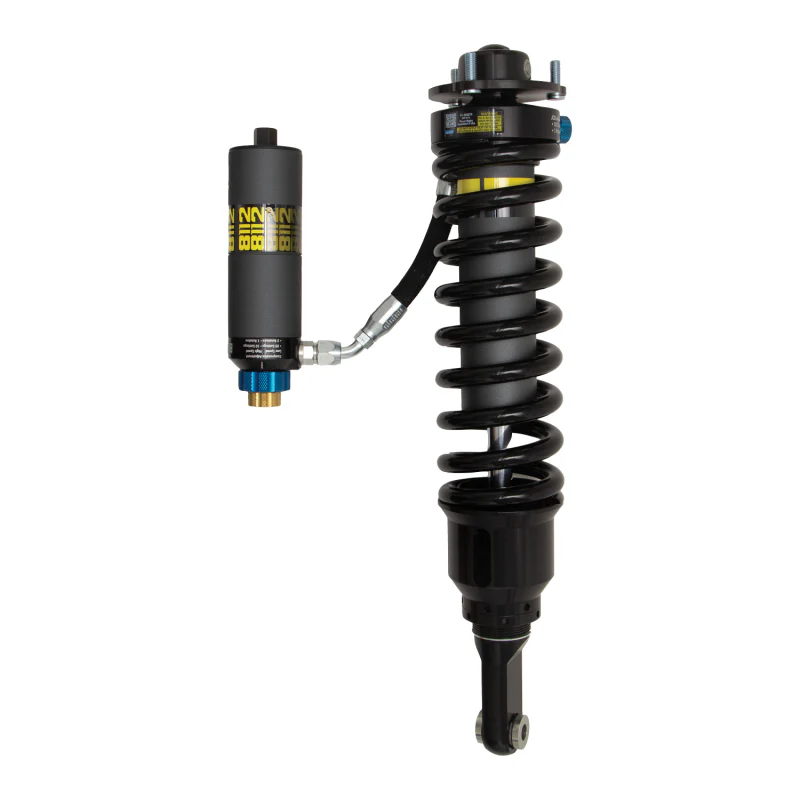 Shocks and Struts